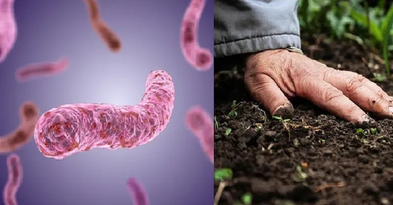 Bộ Y tế khuyến cáo khẩn sau 23 ca tử vong do bệnh “sốt đất” ở Thái Lan
