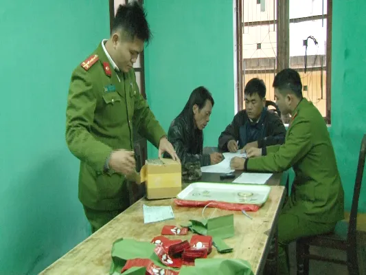 Cỏ Mỹ từ Đồng Nai ra Huế bằng đường bưu phẩm