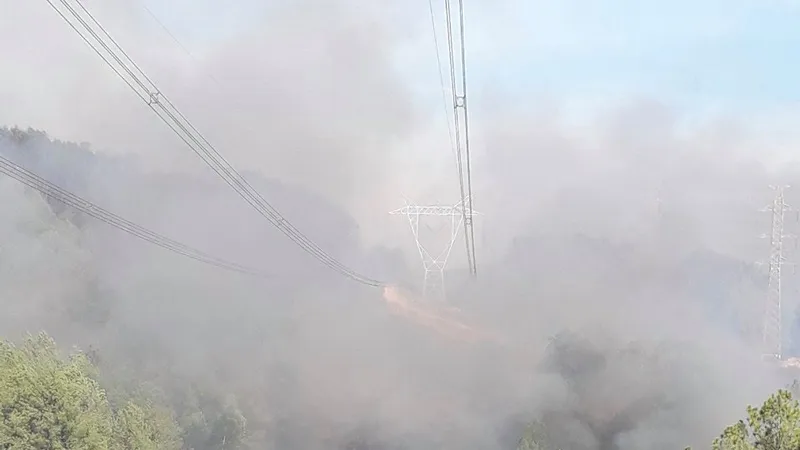 Đám cháy rừng tại Thừa Thiên – Huế bao chùm đường dây 500KV đoạn Đà Nẵng – Hà Tĩnh vào chiều 28-6