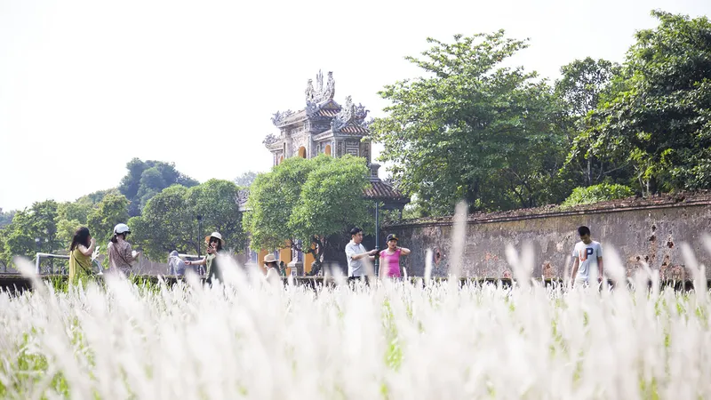 Tung tăng chụp ảnh cùng hoa cỏ tranh