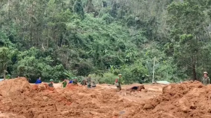Lực lượng chức năng đang nỗ lực tìm kiếm các nạn nhân mất tích tại khu vực Tiểu khu 67 ​