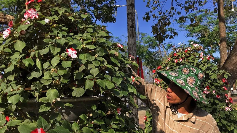 Anh Bảy chăm chút cho hoa chờ khách tới mua ​