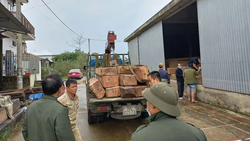 Phát hiện xưởng cưa tập kết số lượng gỗ ớn không rõ nguồn gốc ​