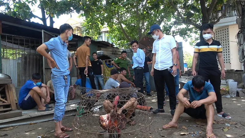Bắt quả tang 29 đối tượng đánh bạc bằng hình thức đá gà ​