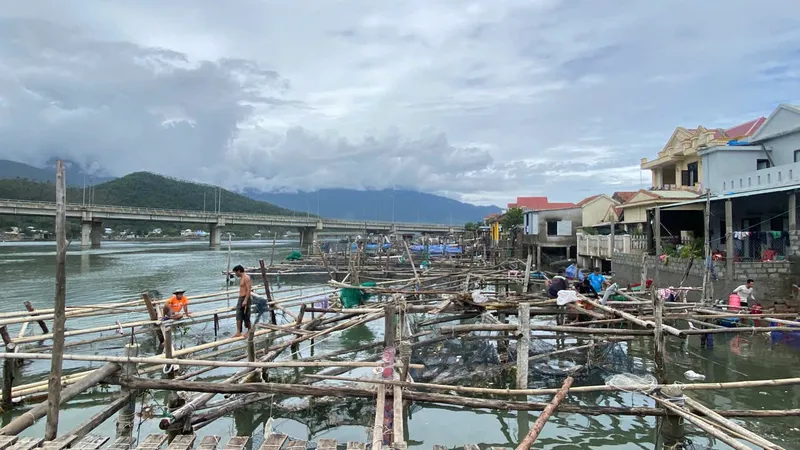 Tan hoang khu vực nuôi cá lồng ở vịnh Lăng Cô