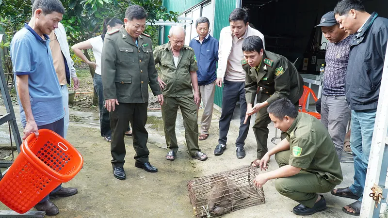 Bàn giao cá thể khỉ đực nặng 5kg cho cơ quan kiểm lâm để có giải pháp xử lý