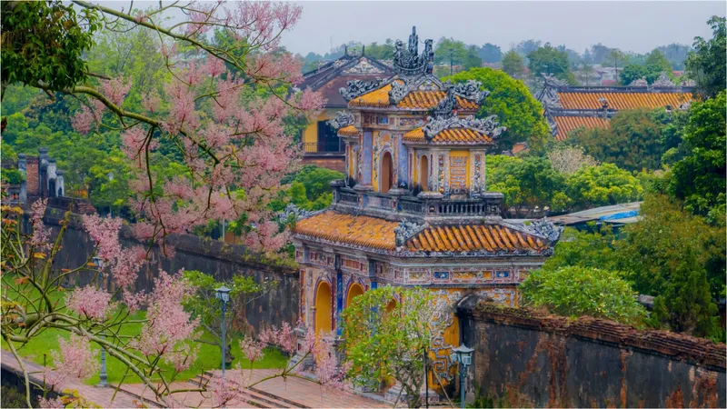 "Vương giả chi hoa" ở Hoàng cung Huế khoe sắc
