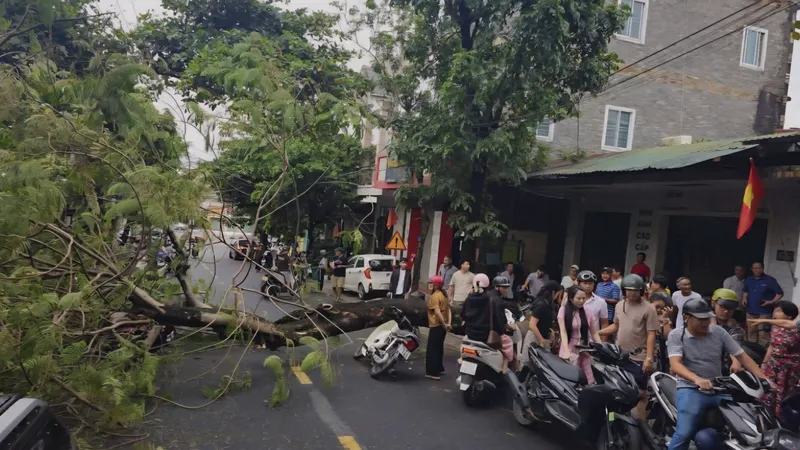 Người tham gia giao thông thót tim khi chứng kiến vụ việc