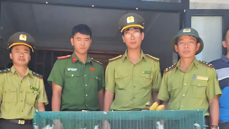 Kiểm lâm khu vực Nam Sông Hương bắt quả tang một đối tượng có hành vi quảng cáo, mua bán trái pháp phép số lượng lớn chim chào mào