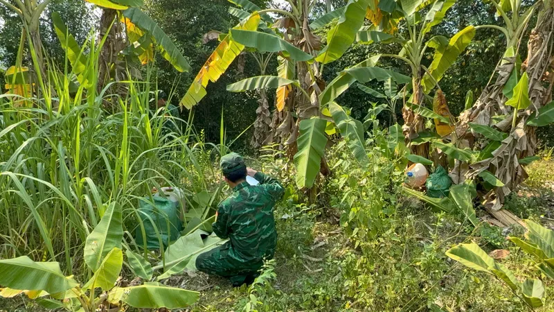 Đồn Biên phòng cửa khẩu quốc tế Lao Bảo phát hiện và thu giữ 70 can chất lỏng màu vàng, nghi xăng RON 95 tại khu vực vườn chuối ở biên giới Việt Nam - Lào
