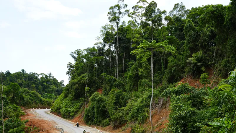Đường 74 dần hoàn thành góp phần nâng cao đời sống của người dân, đặc biệt là đồng bào dân tộc thiểu số phía Tây TP Huế