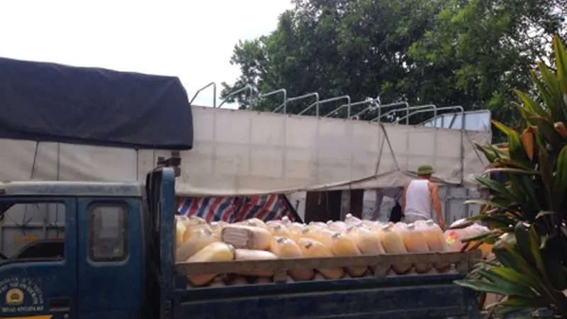 Số mỡ động vật không rõ nguồn gốc đã được bốc dỡ sang xe tải để đưa đi tiêu hủy theo quy định
