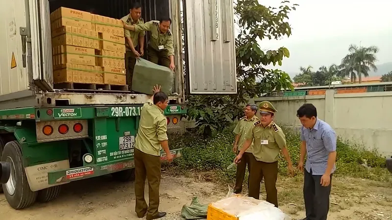 Chiếc xe container vận chuyển nầm heo trái phép bị bắt giữ