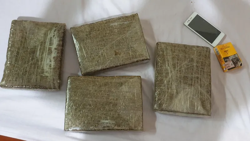Bắt đối tượng vận chuyển số lượng lớn cần sa đi tiêu thụ