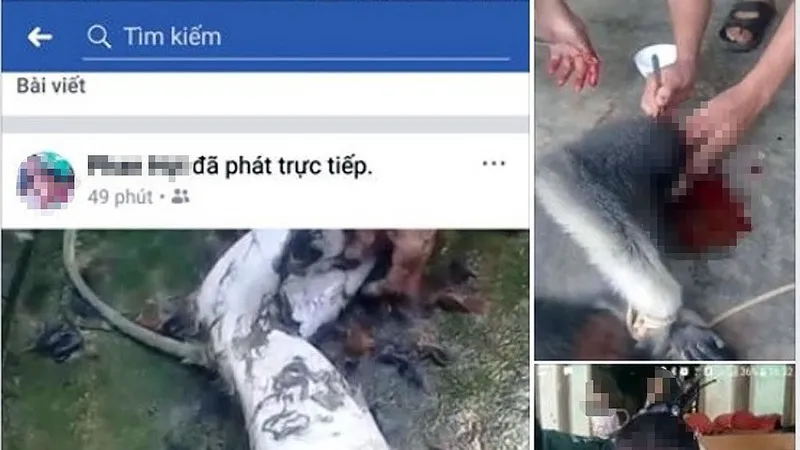 Xác định danh tính 5 đối tượng trong video giết cá thể nghi khỉ, ăn óc sống ở Hà Tĩnh