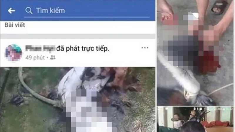 Thời điểm các đối tượng giết voọc rồi phát lên Facebook