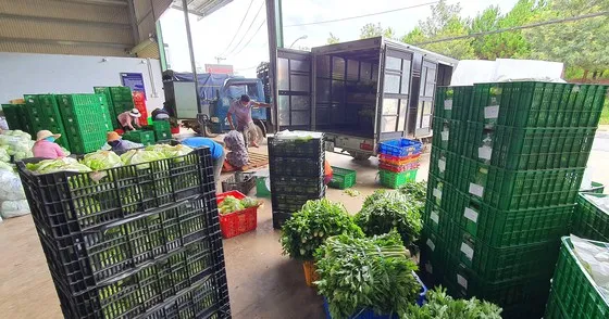 Bộ NN-PTNT đề nghị TPHCM tổng hợp nhu cầu lương thực, thực phẩm cần cung ứng