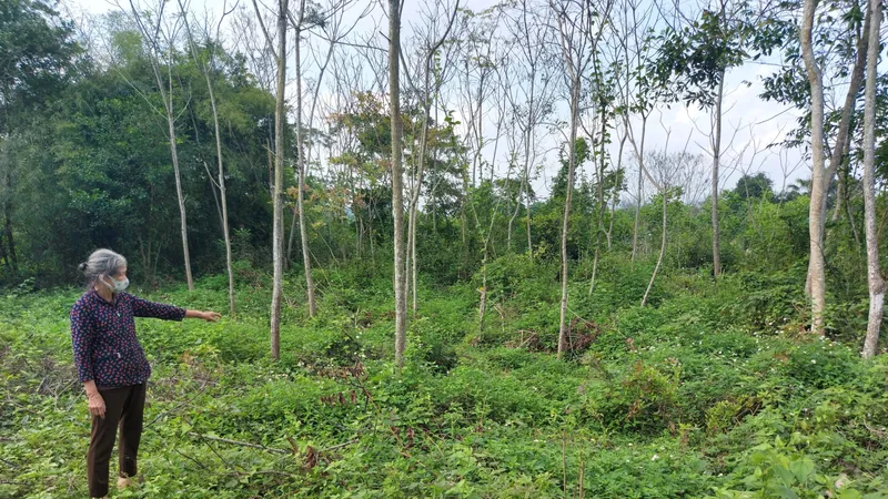 Khu vực điểm tồn lưu hóa chất bảo vệ thực vật giáp ranh giữa thôn Trẫm Bàng và Long Sơn (xã Tân Dân)