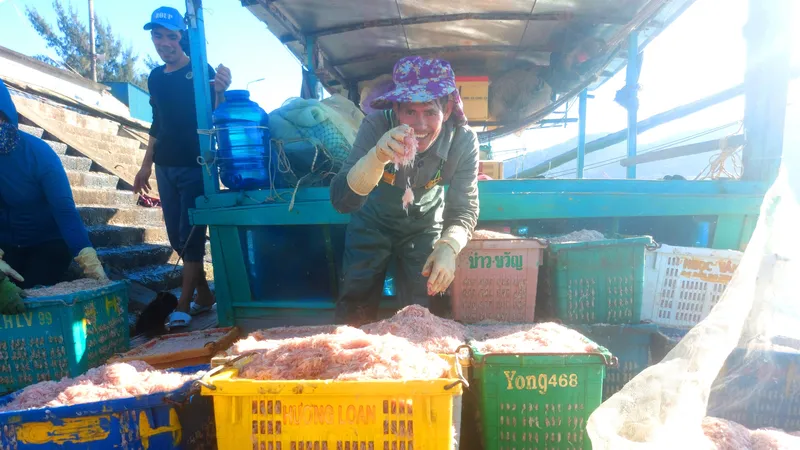 Sáng 14-1, nhiều tàu cá của ngư dân trúng đậm ruốc biển cập cảng cá Cửa Sót 