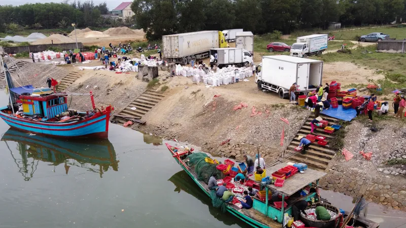 Cá đù được tàu đưa vào bờ ở thị trấn Thiên Cầm (Cẩm Xuyên, Hà Tĩnh). Ảnh: HƯƠNG THÀNH 