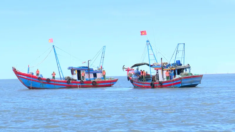 Cặp tàu cá NA 90746 TS và NA 90494 TS, khai thác hải sản sai quy định bị phát hiện, bắt giữ 