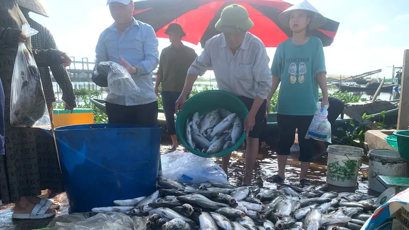 Thời điểm cá nuôi lồng bè chết hàng loạt được người dân vớt lên bờ