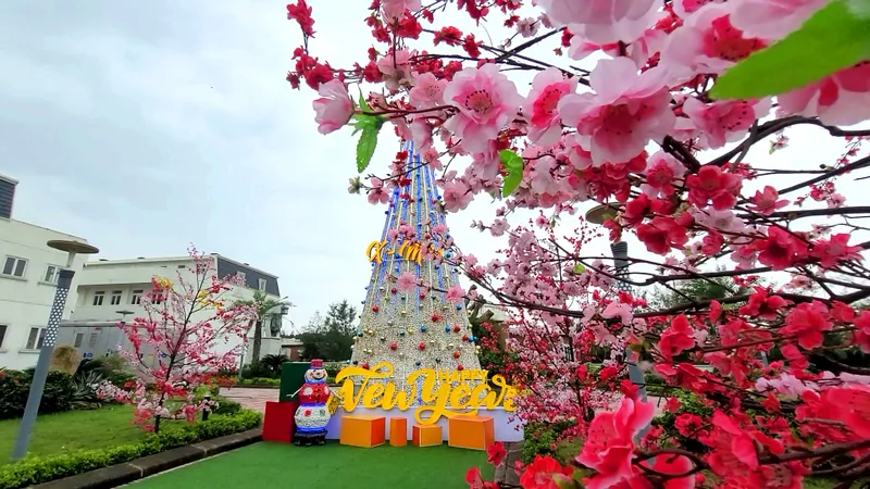 Độc đáo cây thông Noel được lắp ghép từ 100.000 vỏ sò biển