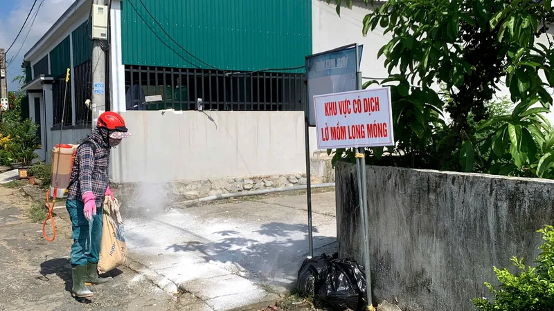 Rắc vôi bột và phun hóa chất khử trùng nơi có dịch lở mồm long móng tại huyện Kỳ Anh