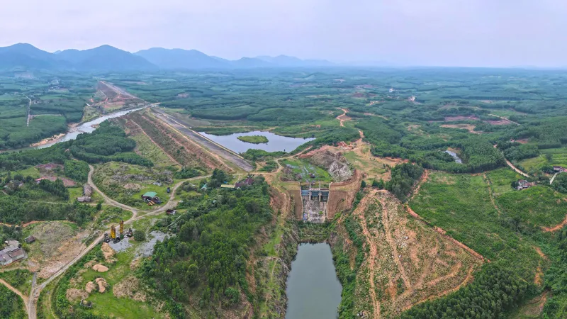 Khu vực lòng hồ Rào Trổ bị tái lấn chiếm trồng cây keo 
