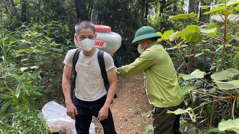 Huy động nhân lực, máy móc phun thuốc phòng trừ sâu róm gây hại rừng thông Hồng Lĩnh