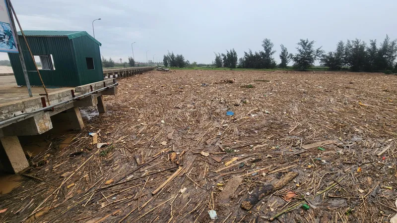 Rác dày đặc tại Cảng cá Xuân Hội