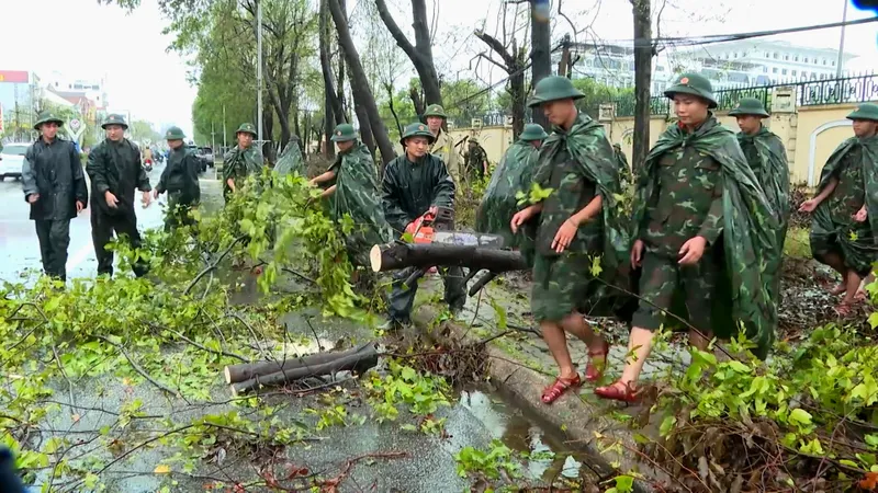 Cán bộ, chiến sĩ cắt tỉa cây đổ ngã sau bão 