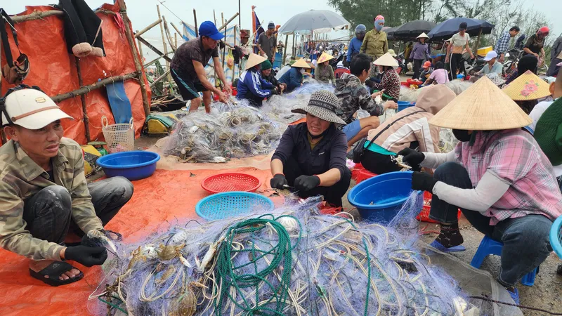 Những mẻ lưới dày đặc ghẹ biển tươi sống 