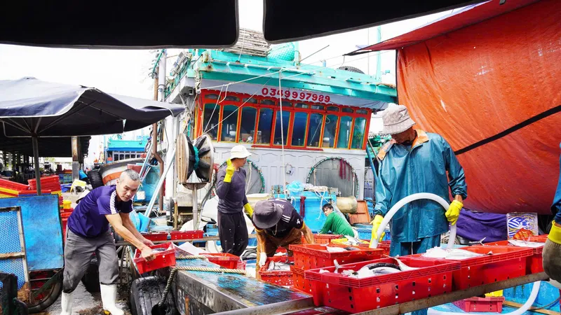 Những mẻ cá tươi ngon được ngư dân đánh bắt đầu năm từ vùng biển Trường Sa đưa vào bờ