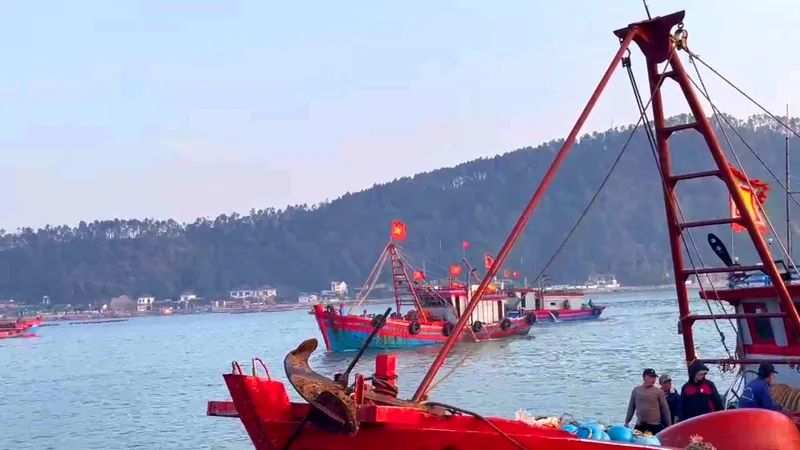 Cửa biển Cửa Lò (Nghệ An) tấp nập các tàu thuyền ra vào hàng ngày