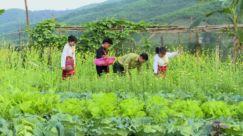 Chăm sóc vườn rau xanh tại Đồn Biên phòng Bản Giàng