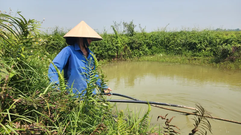 Chị Nguyễn Thị Thủy phải bơm nước hồ về sử dụng