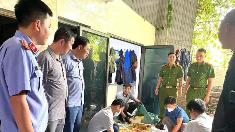 Khởi tố đối tượng thu mua heo bệnh làm thịt đưa ra thị trường