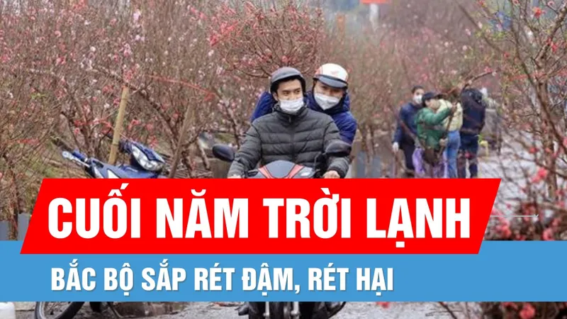 Thời tiết ngày 24-1: Không khí lạnh mạnh, Bắc Bộ sắp chuyển rét đậm, rét hại