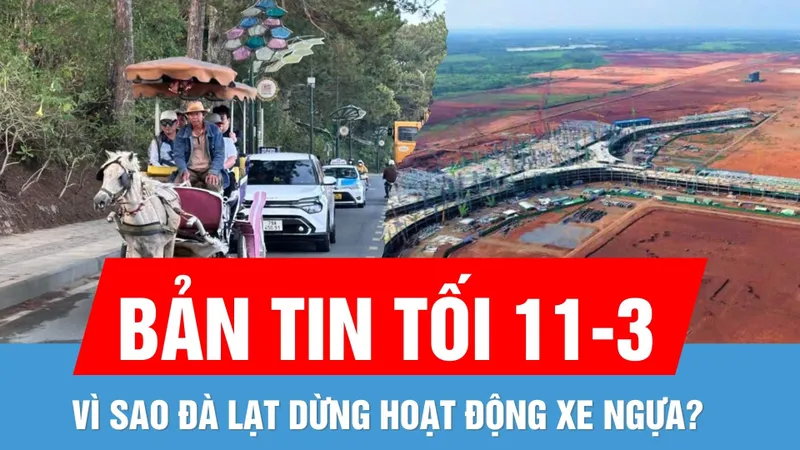Bản tin tối 11-3: Điều chỉnh quy mô, tiến độ dự án xây sân bay Long Thành | Vì sao Đà Lạt dừng hoạt động xe ngựa?