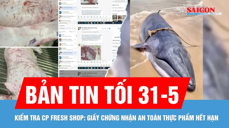 Bản tin tối 31-5: Cập nhật nóng vụ cửa hàng bị tố "tuồn" thịt bẩn | Cá voi trôi dạt vào bờ biển