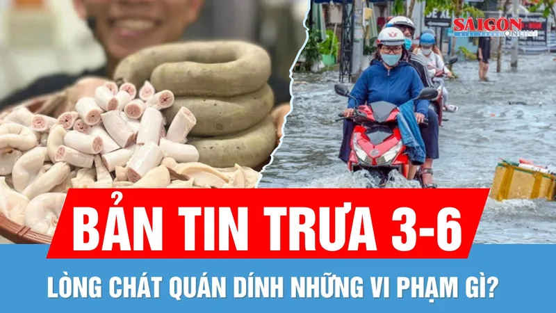 Bản tin trưa 3-6: Chiều nay miền Nam dễ dính mưa to | Lòng Chát Quán vi phạm gì?