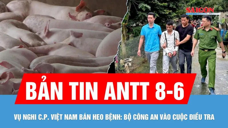 Bản tin ANTT 8-6: Vụ C.P. bị tố bán heo bệnh: Bộ Công an vào cuộc | Bắt đối tượng vì tranh ghế đâm chết người