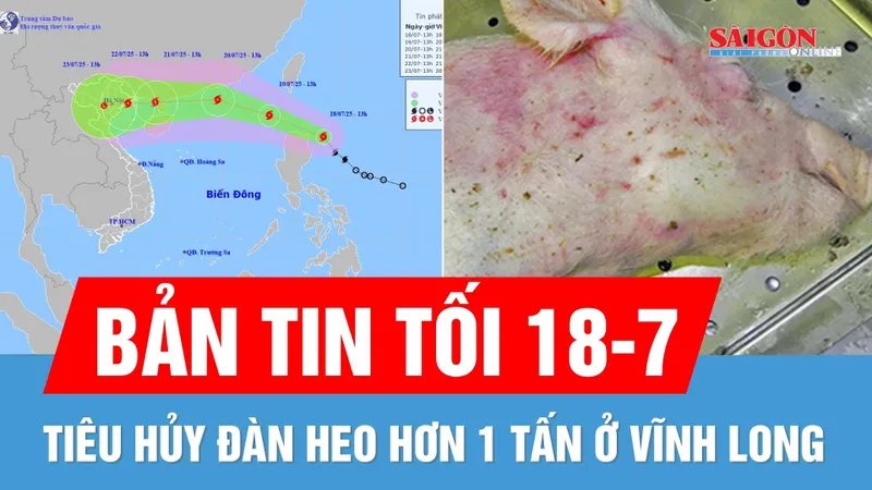 Bản tin tối 18-7: Điểm tương đồng giữa bão Wipha và bão Yagi; Tiêu hủy đàn heo hơn 1 tấn ở Vĩnh Long