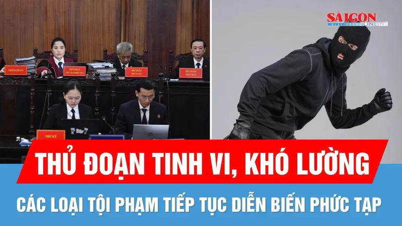 Các loại tội phạm tiếp tục diễn biến phức tạp, thủ đoạn khó lường
