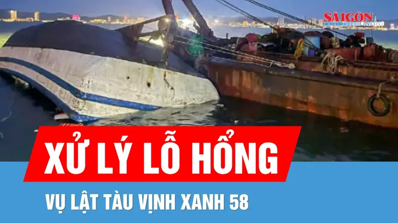 Bản tin tối 28-7: Xử lý lỗ hổng vụ lật tàu Vịnh Xanh 58; Cá voi tiếp tục săn mồi tại vịnh Nha Trang