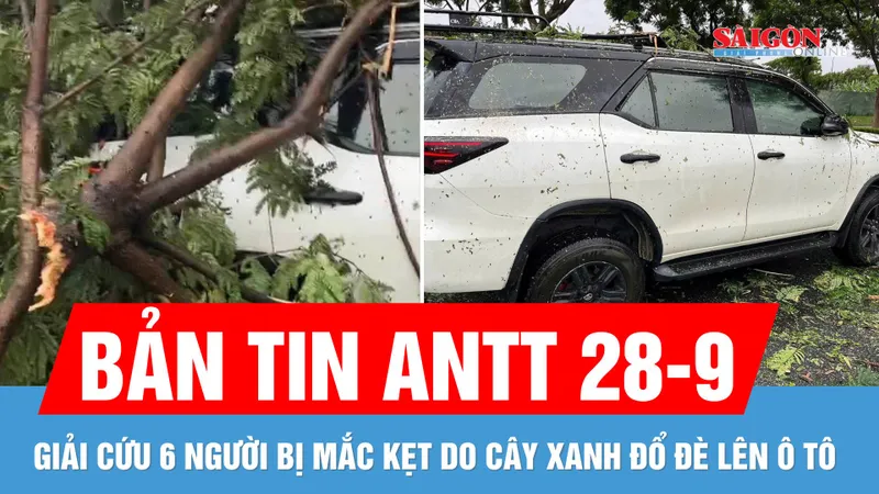 Bản tin ANTT 28-9: Giải cứu 6 người bị mắc kẹt do cây xanh đổ đè lên ô tô 7 chỗ ở Đà Nẵng