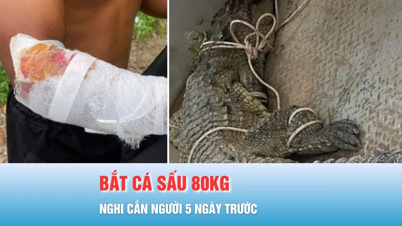 Podcast bản tin tối 13-10: Bắt được cá sấu khủng, nghi cắn người 5 ngày trước