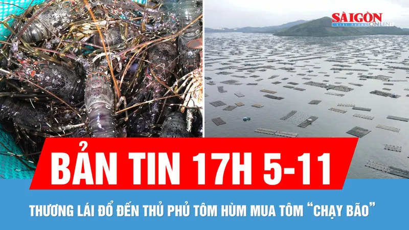 Bản tin 17 GIỜ 5-11: Thương lái đổ xô thu mua tôm hùm “chạy bão”