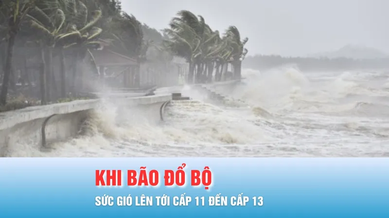 Podcast bản tin tối 6-11: Khi bão số 13 (Kalmaegi) đổ bộ, sức gió vẫn lên tới cấp 11 đến cấp 13